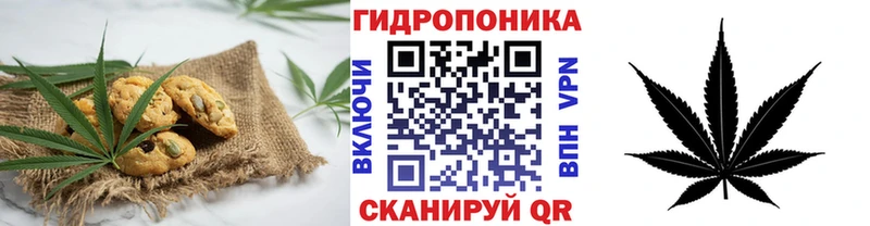 Купить закладки  Болотное  Cannafood конопля 